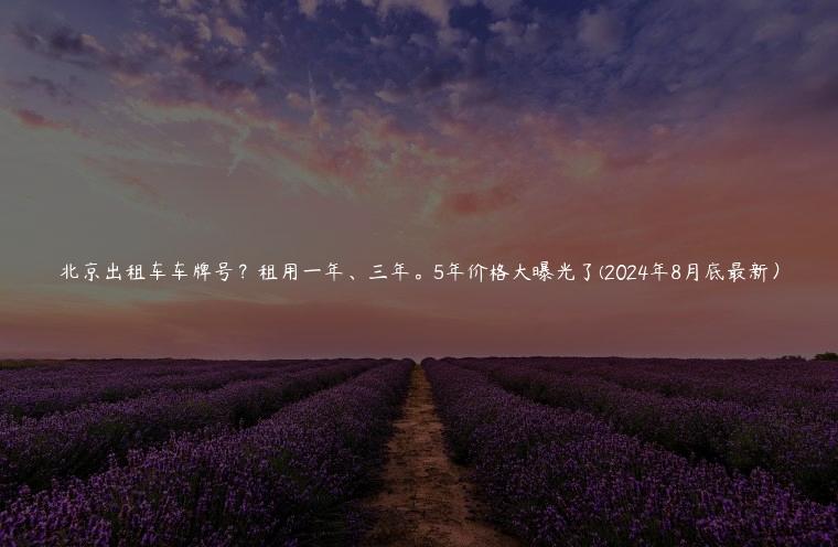 北京出租车车牌号？租用一年、三年。5年价格大曝光了(2024年8月底最新）