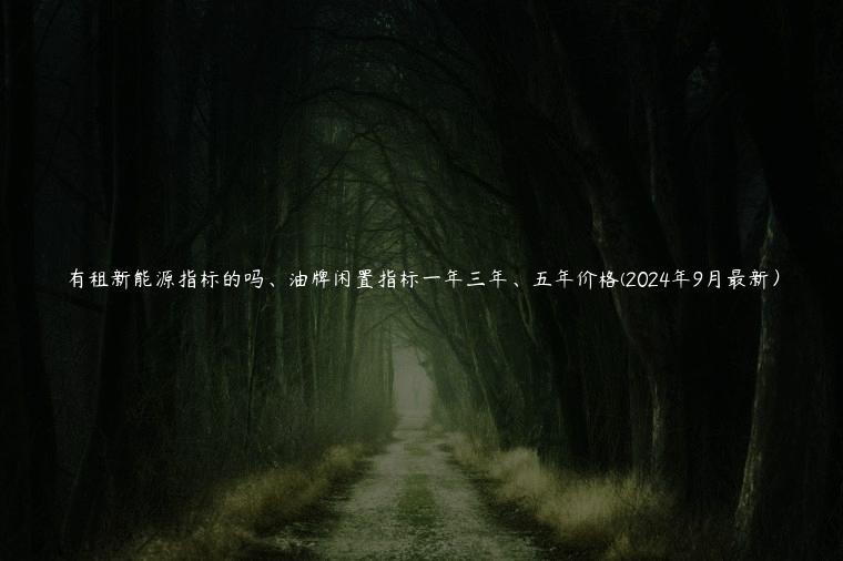 有租新能源指标的吗、油牌闲置指标一年三年、五年价格(2024年9月最新）