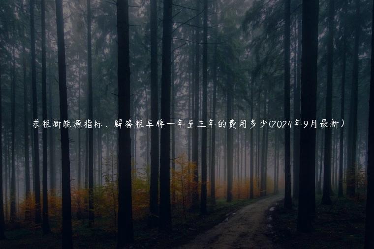求租新能源指标、解答租车牌一年至三年的费用多少(2024年9月最新）
