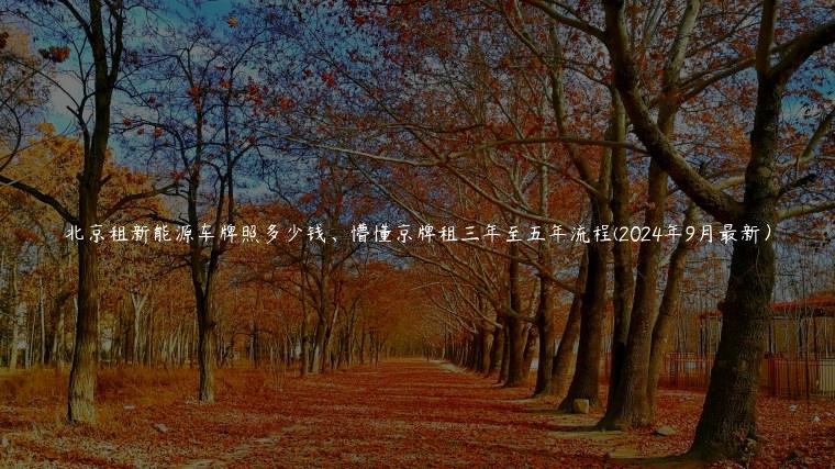 北京租新能源车牌照多少钱、懵懂京牌租三年至五年流程(2024年9月最新）