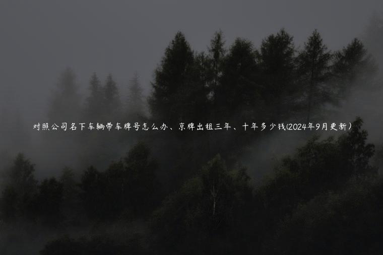 对照公司名下车辆带车牌号怎么办、京牌出租三年、十年多少钱(2024年9月更新）