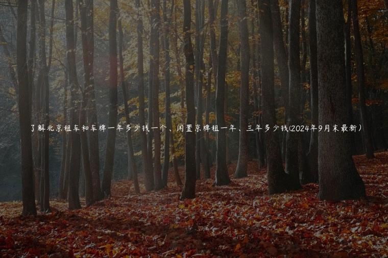 了解北京租车和车牌一年多少钱一个、闲置京牌租一年、三年多少钱(2024年9月末最新）