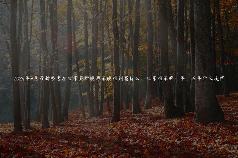 2024年9月最新参考在北京买新能源车能租到指标么、北京租车牌一年、五年什么流程