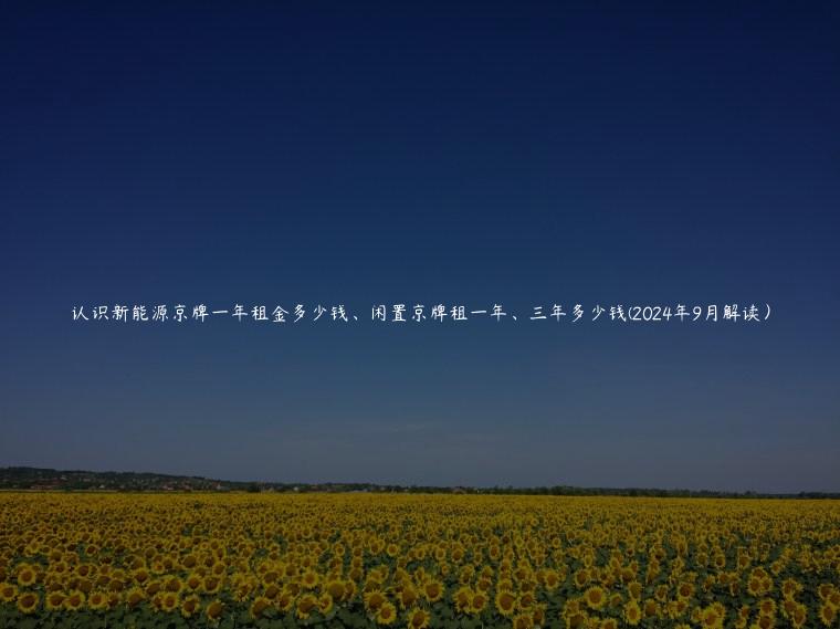 认识新能源京牌一年租金多少钱、闲置京牌租一年、三年多少钱(2024年9月解读）