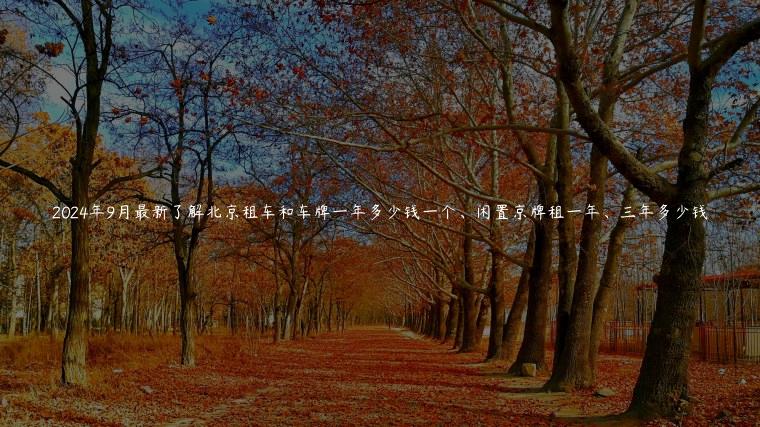 2024年9月最新了解北京租车和车牌一年多少钱一个、闲置京牌租一年、三年多少钱
