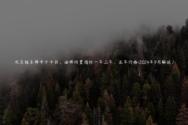 北京租车牌中介平台、油牌闲置指标一年三年、五年价格(2024年9月解读）