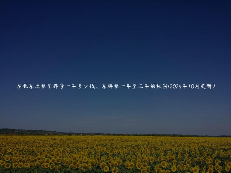 在北京出租车牌号一年多少钱、京牌租一年至三年的秘密(2024年10月更新）