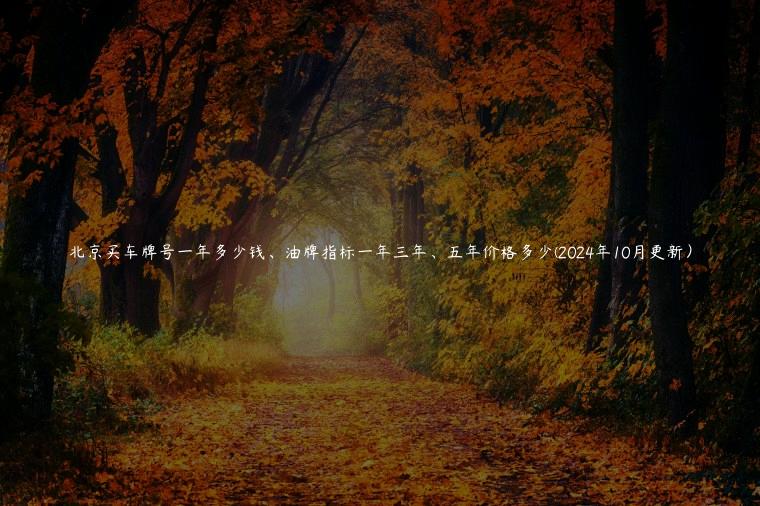 北京买车牌号一年多少钱、油牌指标一年三年、五年价格多少(2024年10月更新）