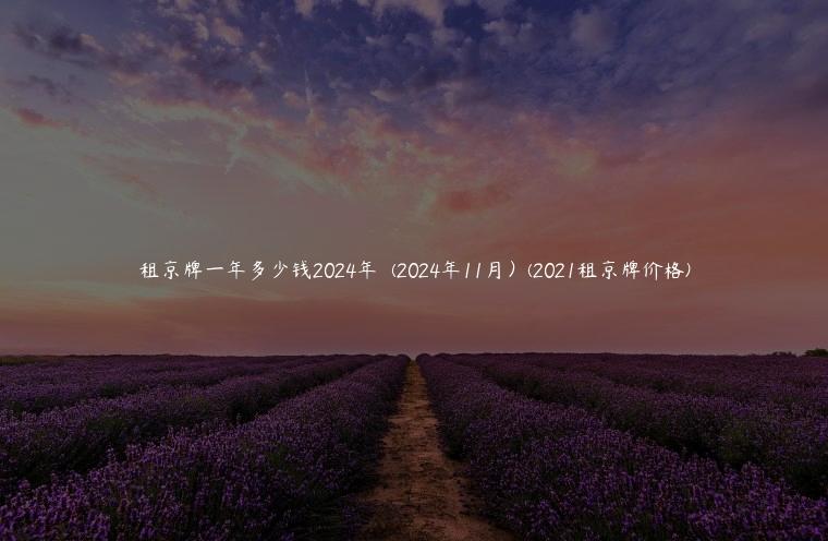 租京牌一年多少钱2024年  (2024年11月）(2021租京牌价格)