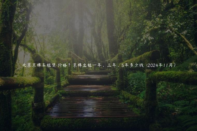 北京京牌车租赁 价格？京牌出租一年、三年、5年多少钱  (2024年11月）