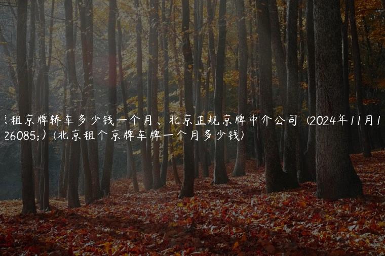 求租京牌轿车多少钱一个月、北京正规京牌中介公司  (2024年11月1日）(北京租个京牌车牌一个月多少钱)