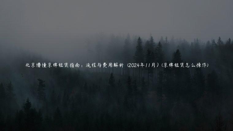 北京懵懂京牌租赁指南：流程与费用解析  (2024年11月）(京牌租赁怎么操作)