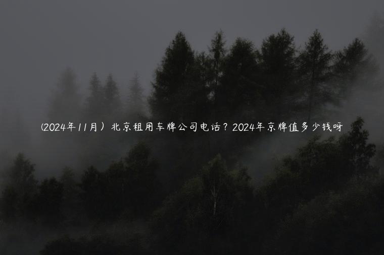 (2024年11月）北京租用车牌公司电话？2024年京牌值多少钱呀