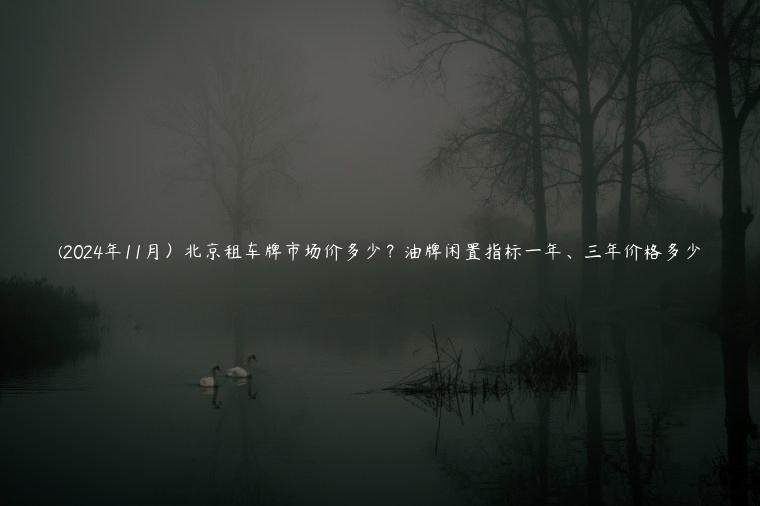 (2024年11月）北京租车牌市场价多少？油牌闲置指标一年、三年价格多少