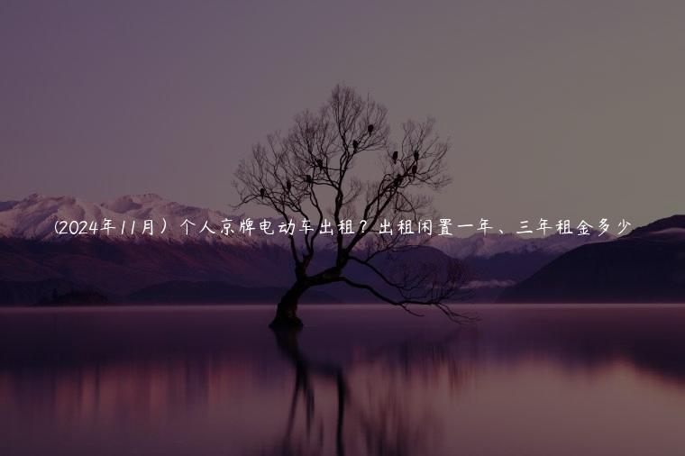 (2024年11月）个人京牌电动车出租？出租闲置一年、三年租金多少