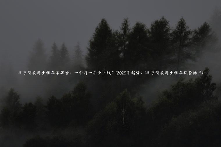 北京新能源出租车车牌号、一个月一年多少钱？(2025年趋势）(北京新能源出租车收费标准)