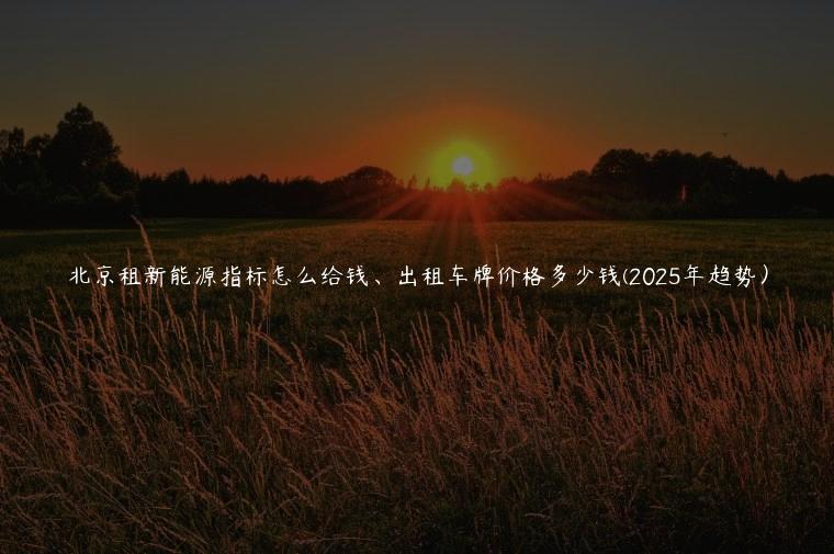 北京租新能源指标怎么给钱、出租车牌价格多少钱(2025年趋势）