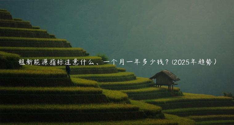 租新能源指标注意什么、一个月一年多少钱？(2025年趋势）