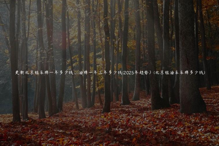 更新北京租车牌一年多少钱、油牌一年三年多少钱(2025年趋势）(北京租油车车牌多少钱)