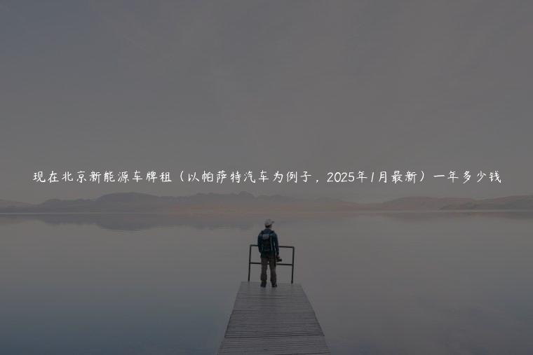 现在北京新能源车牌租（以帕萨特汽车为例子，2025年1月最新）一年多少钱