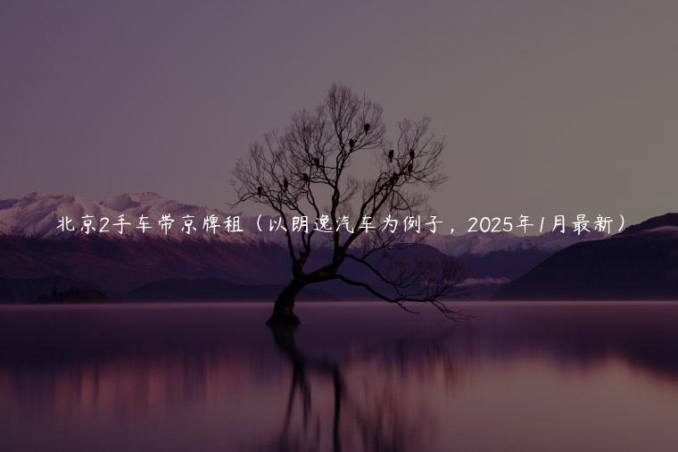 北京2手车带京牌租（以朗逸汽车为例子，2025年1月最新）