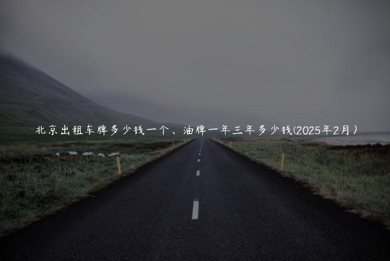 北京出租车牌多少钱一个、油牌一年三年多少钱(2025年2月）