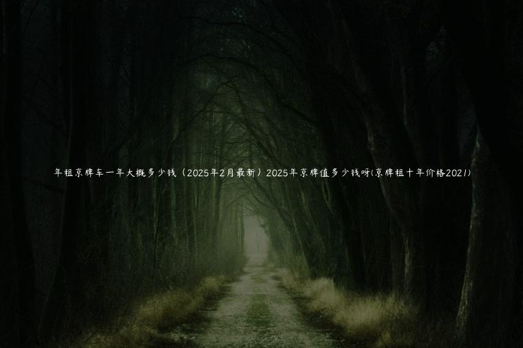 年租京牌车一年大概多少钱（2025年2月最新）2025年京牌值多少钱呀(京牌租十年价格2021)