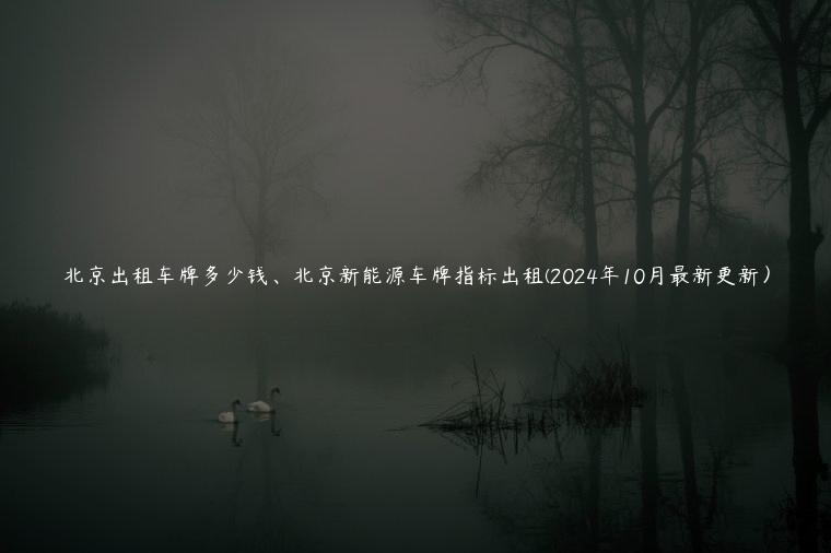 北京出租车牌多少钱、北京新能源车牌指标出租(2024年10月最新更新) 北京出租车牌多少钱、北京新能源车牌指标出租(2024年10月最新更新)