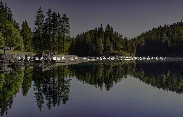 不想要新能源指标租油牌、租用一年、三年5年价格大了(2024年10月最新更新）