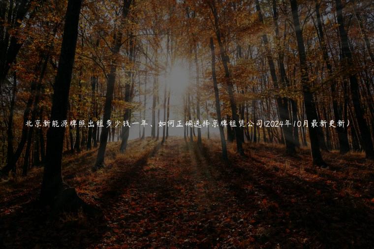 北京新能源牌照出租多少钱一年、如何正确选择京牌租赁公司(2024年10月最新更新) 北京新能源牌照出租多少钱一年、如何正确选择京牌租赁公司(2024年10月最新更新)