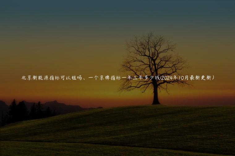 北京新能源指标可以租吗、一个京牌指标一年三年多少钱(2024年10月最新更新）