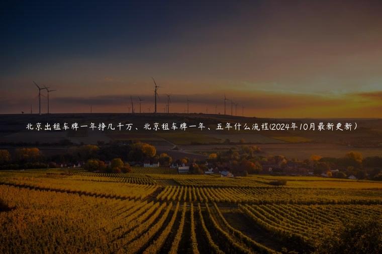 北京出租车牌一年挣几千万、北京租车牌一年、五年什么流程(2024年10月最新更新) 北京出租车牌一年挣几千万、北京租车牌一年、五年什么流程(2024年10月最新更新)
